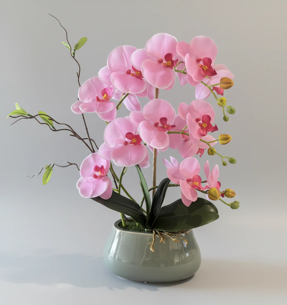 Abundance Royal Phalaenopsis - (Life-like Artificial) - Image 12