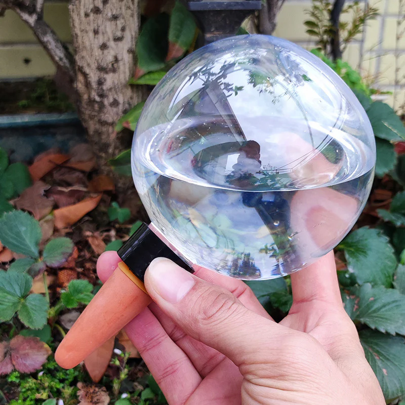 AquaSphere Automatic Self-Watering Globe - Image 3
