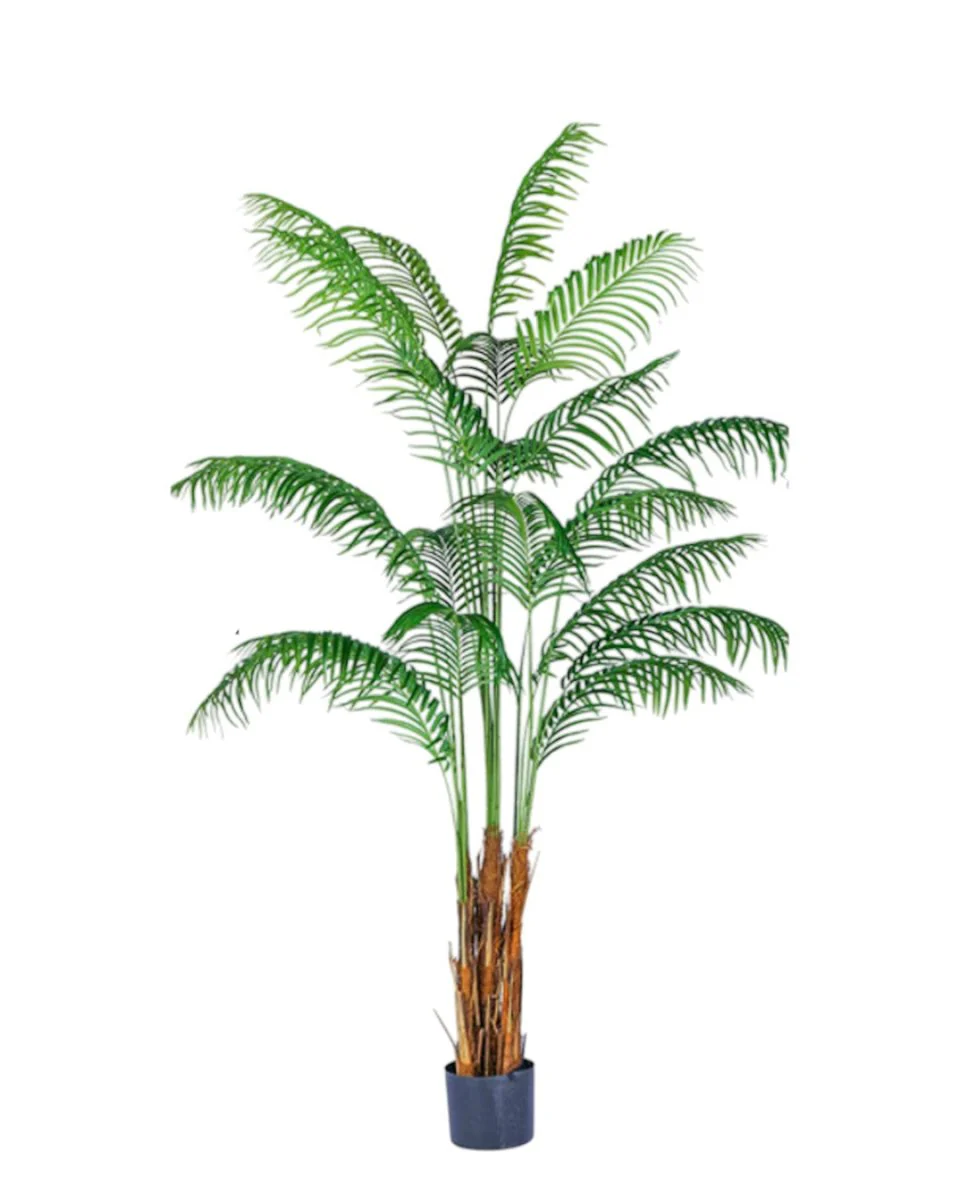 Bamboo Palm (Life-life Artificial) - Image 38