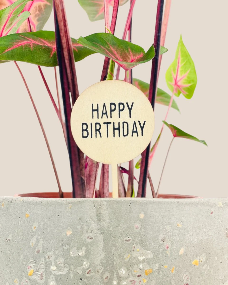 Birthday Tag - Image 2