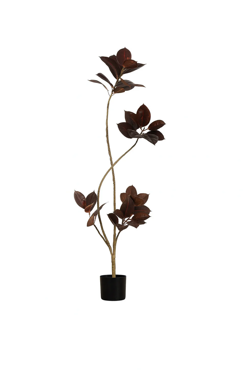 Black Diamond Rubber Tree (Life-like Artificial) - Image 3