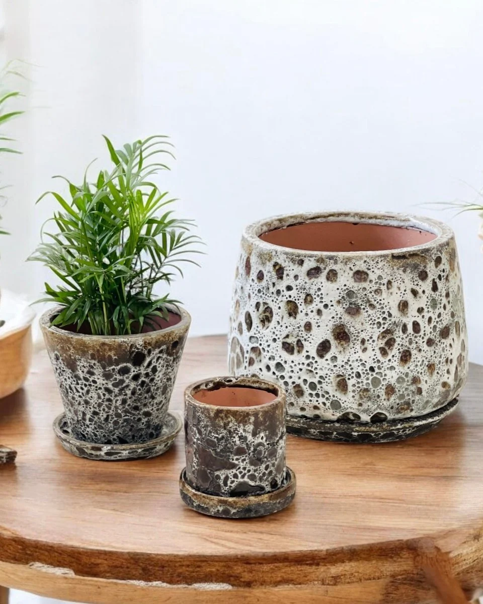 Brown Moon Pot in Cylinder - Image 4