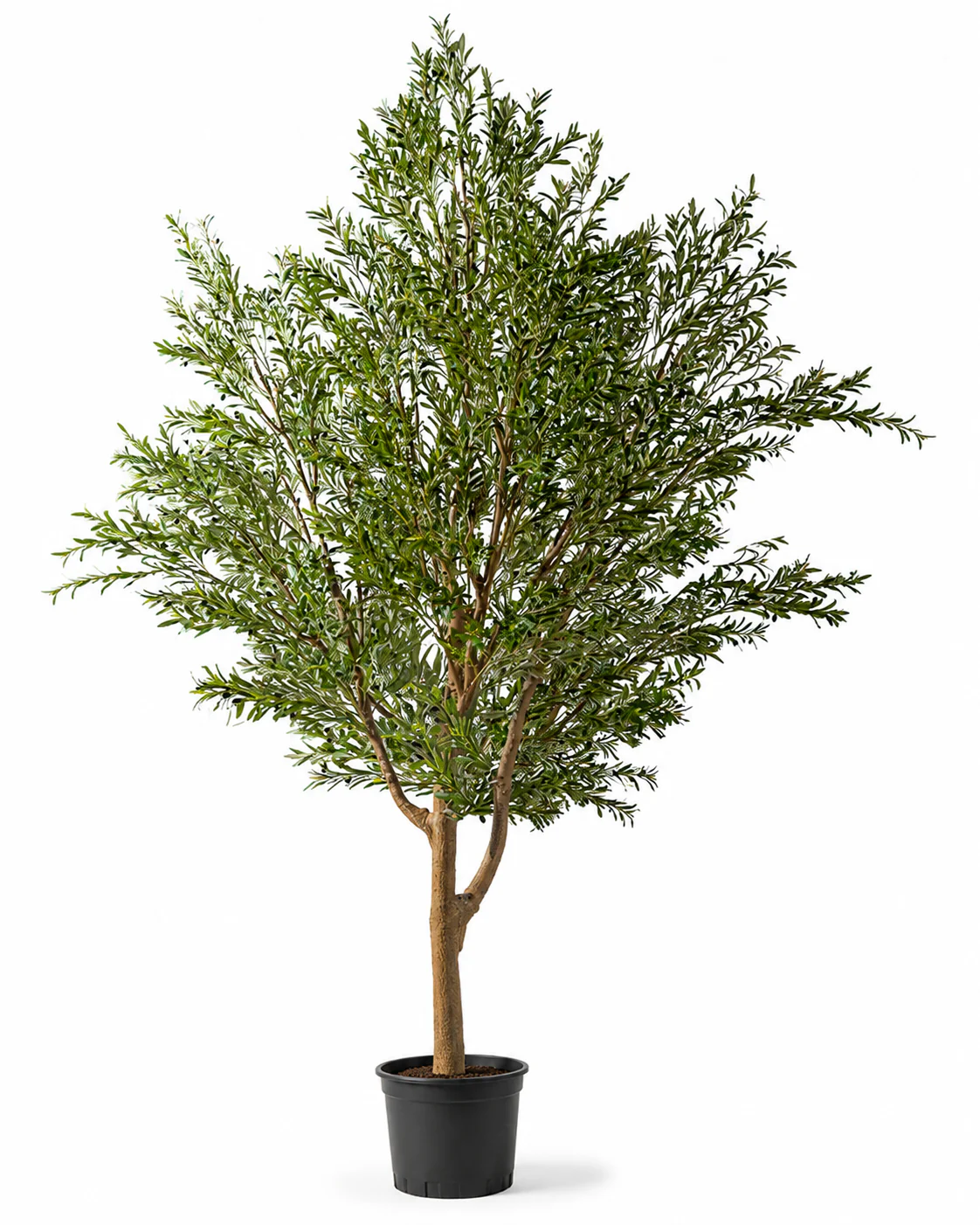 Olive Tree (Life-like Artificial) - Image 20