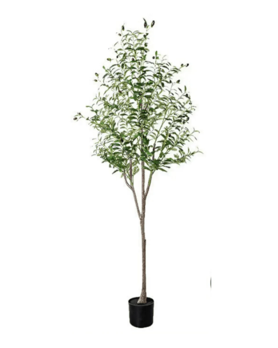 Olive Tree (Life-like Artificial) - Image 9