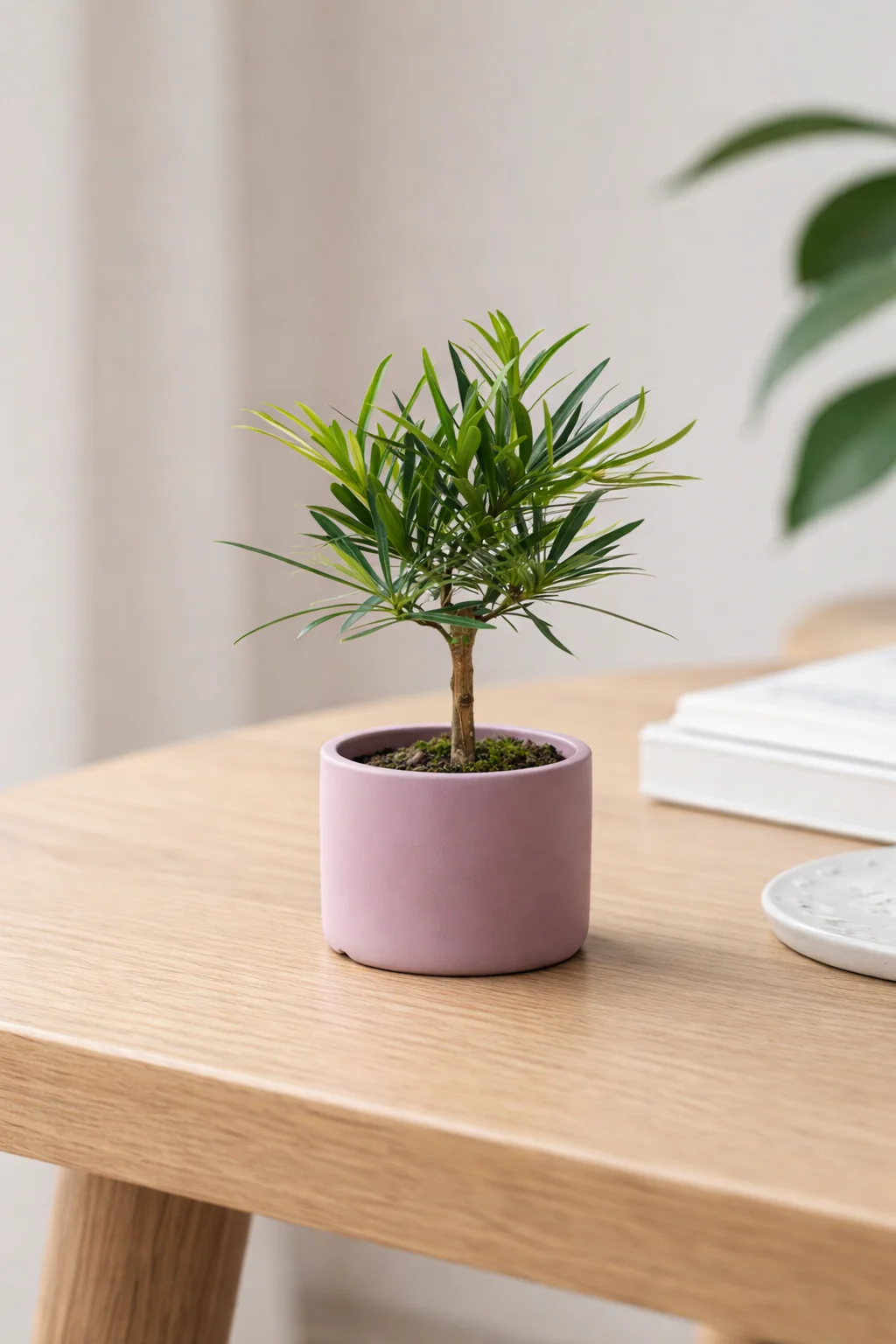 Classic Cylinder Pot - XS