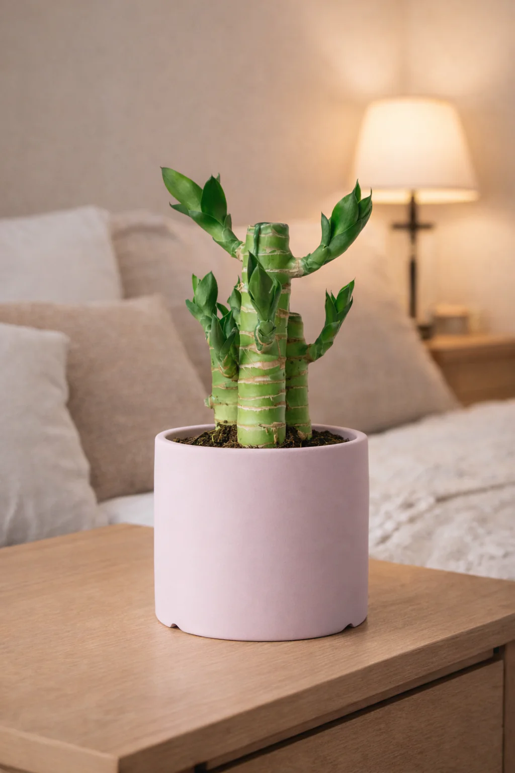 Classic Cylinder Pot - Small