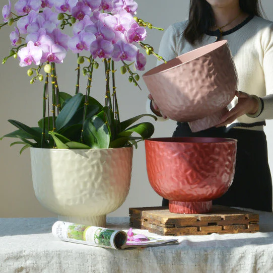 Luna Pearl Cloudstone Pot - Image 2