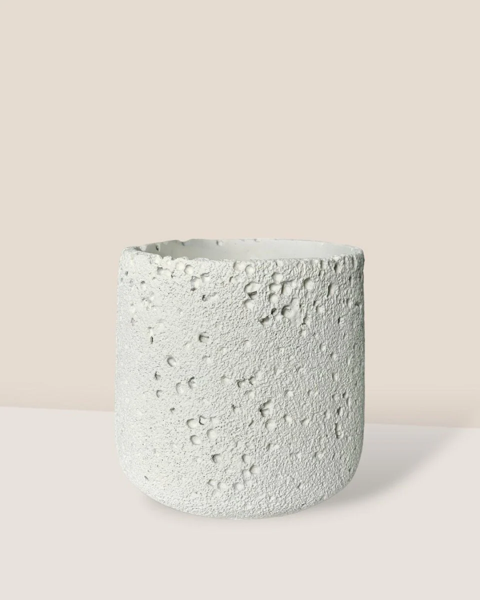 Coarse Cylinder Planter - Image 9