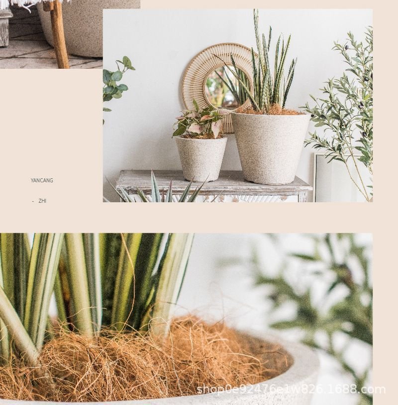 Cone Planter - XXL - Image 4