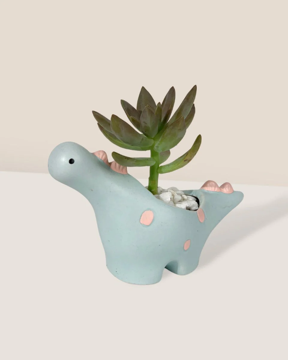 Dino Ceramic Pot - Image 3