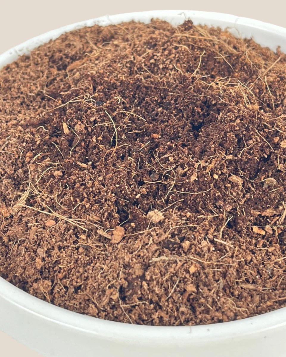Down To Earth. 08 Coco Peat - Image 3