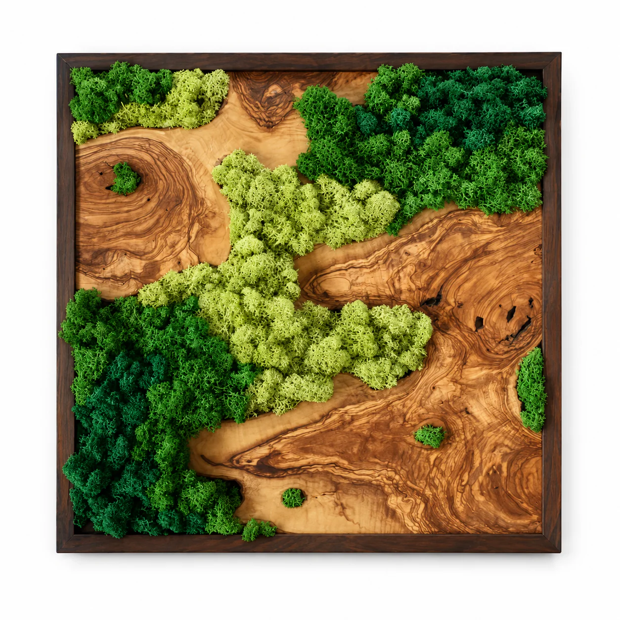 EARTH Frame - Preserved Plants: MOSS. - Image 3