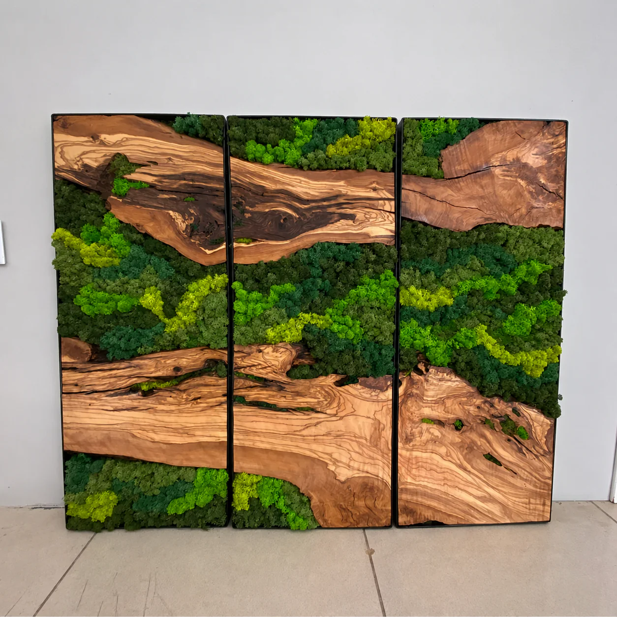 EARTH Frame - Preserved Plants: MOSS. - Image 6