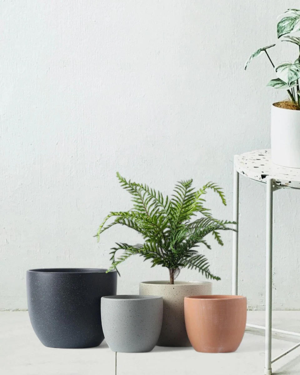 Egg Pot Medium - Image 4