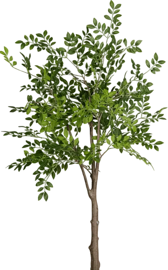 Elm Money Tree (Life-like Artificial) - Image 18