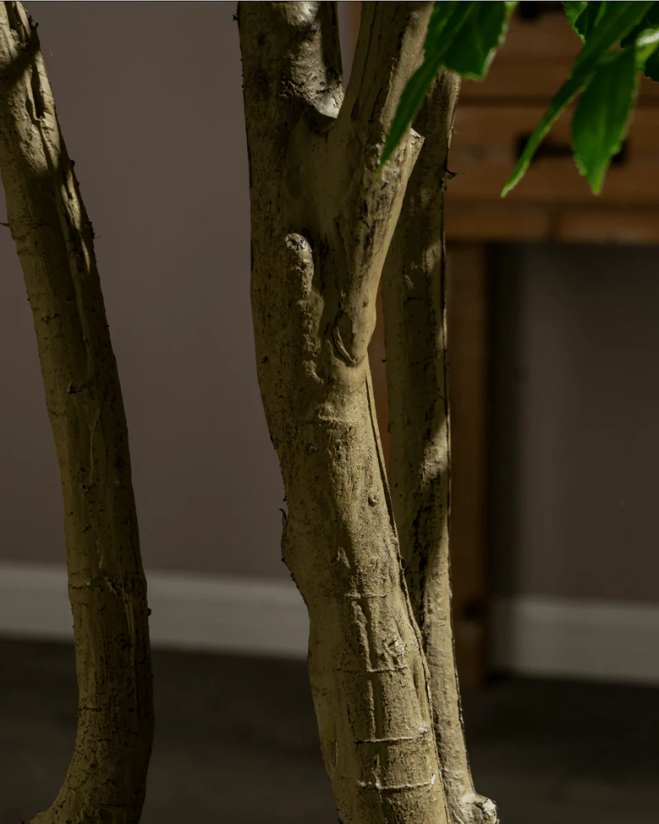 Elm Money Tree (Life-like Artificial) - Image 3