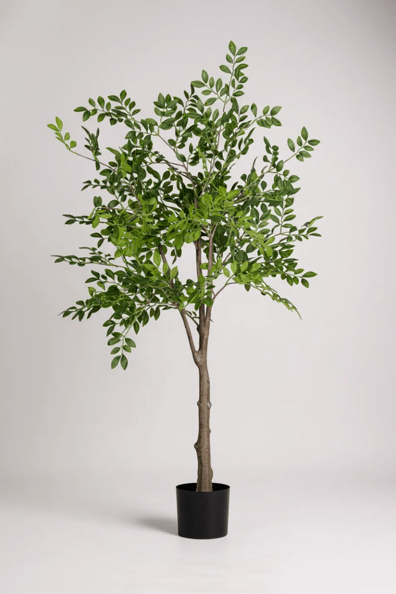 Elm Money Tree (Life-like Artificial) - Image 8