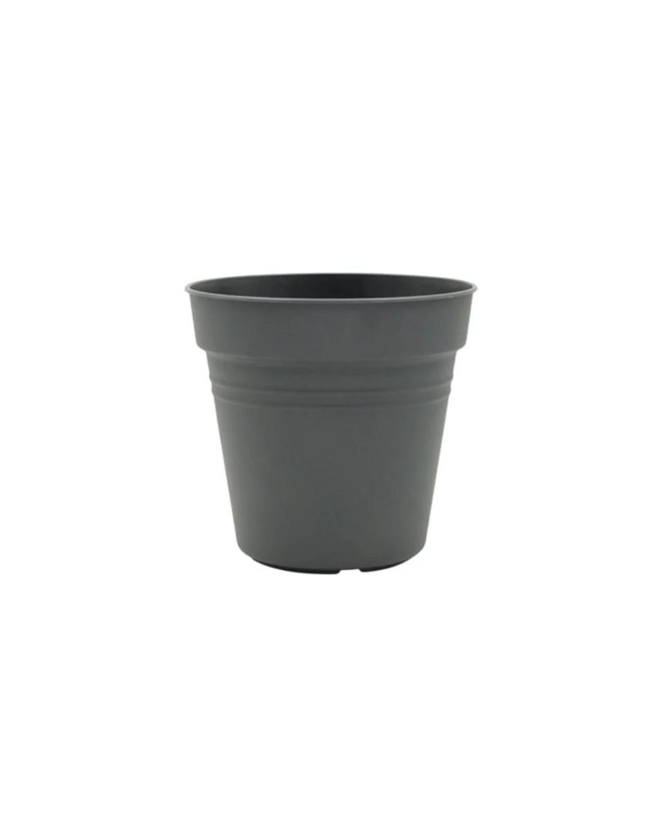Essential Plastic Pot - Medium - Image 6
