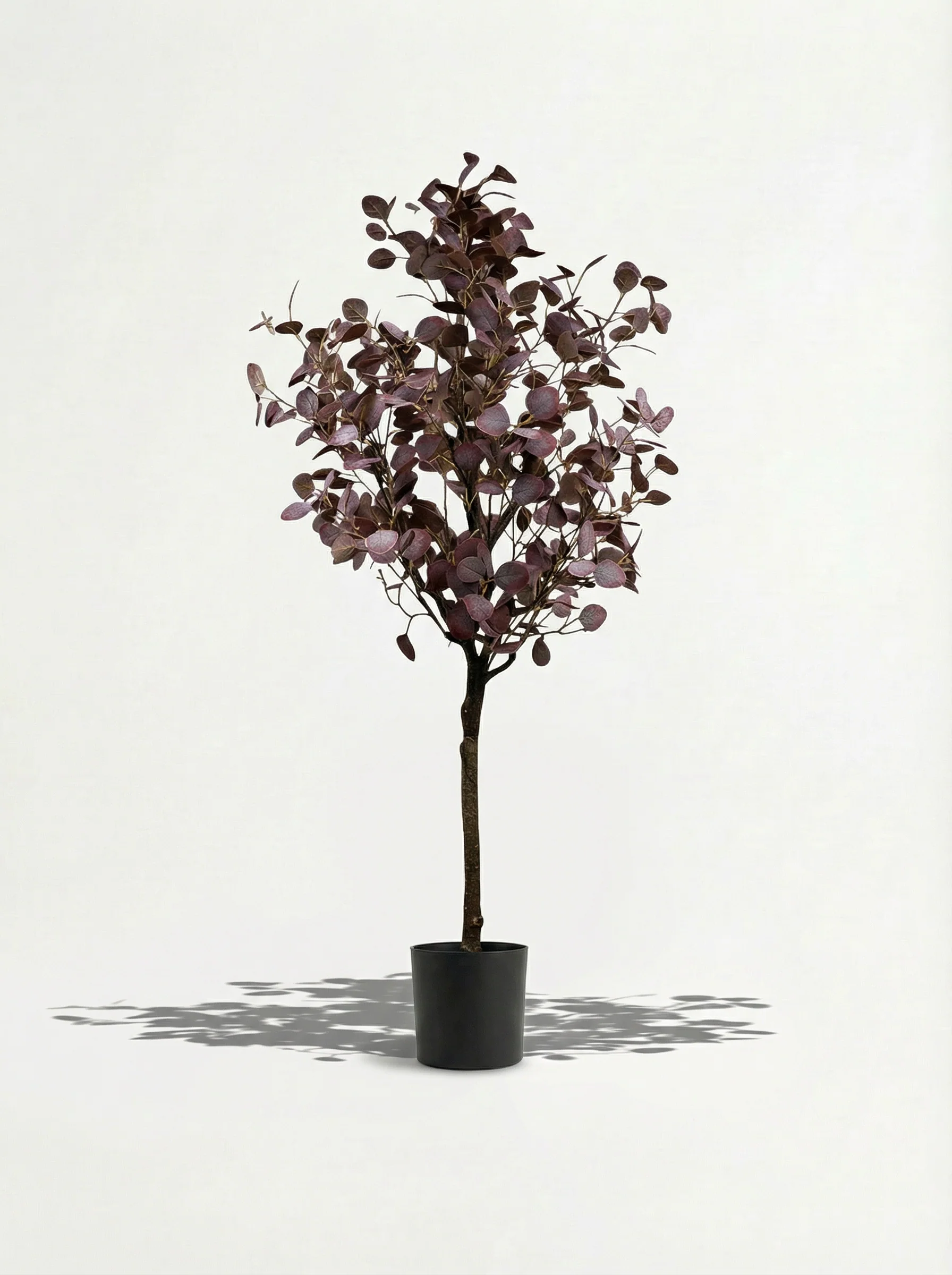 Eucalyptus (Life-like Artificial) - Image 10