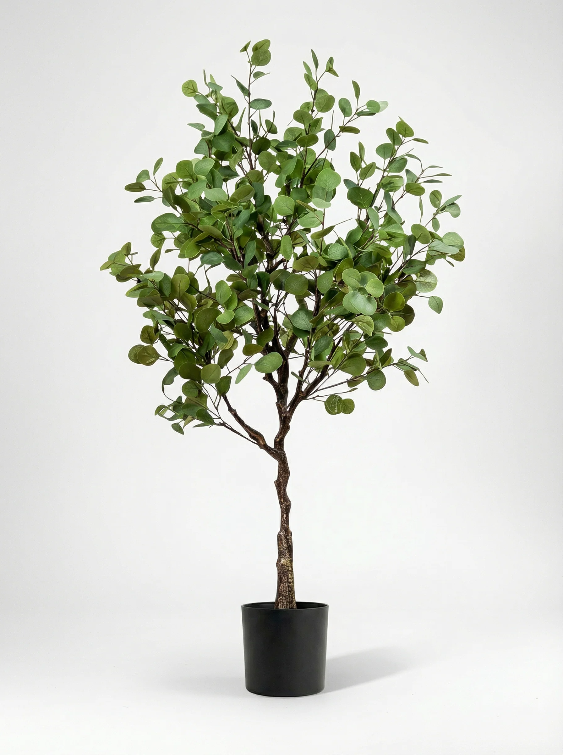 Eucalyptus (Life-like Artificial) - Image 9