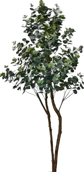 Eucalyptus Real-Trunk Artificial - Image 12