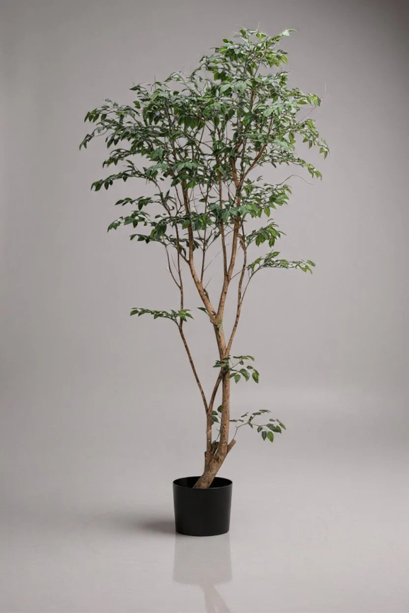 Ficus - Real-Trunk Artificial - Image 5