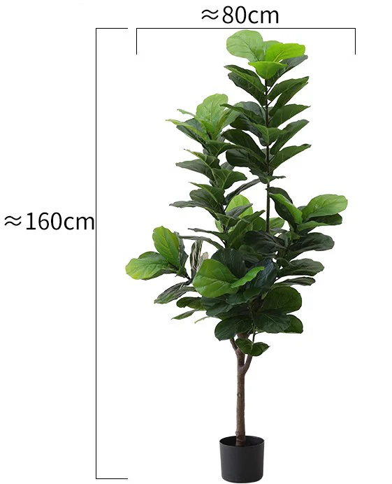 Fiddle Leaf Fig (Life-like Artificial) - Image 13