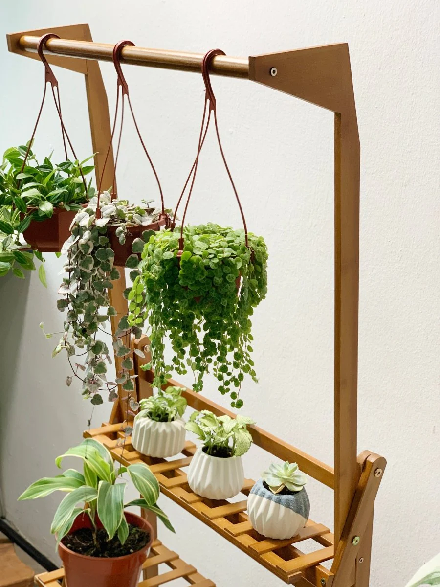 Bansey Foldable Plant Rack - Image 7