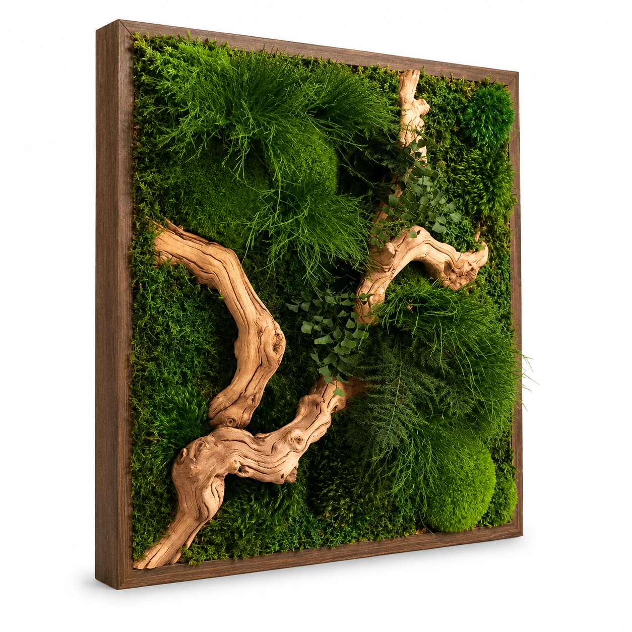 Frame Greens - MOSS. - Image 10
