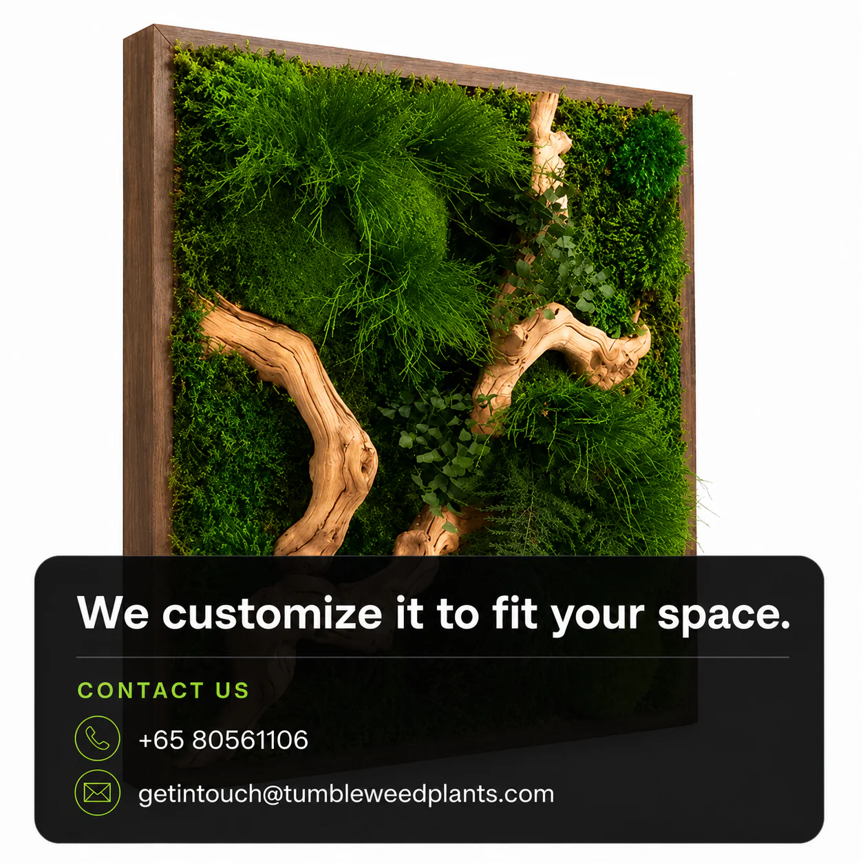 Frame Greens - MOSS. - Image 16