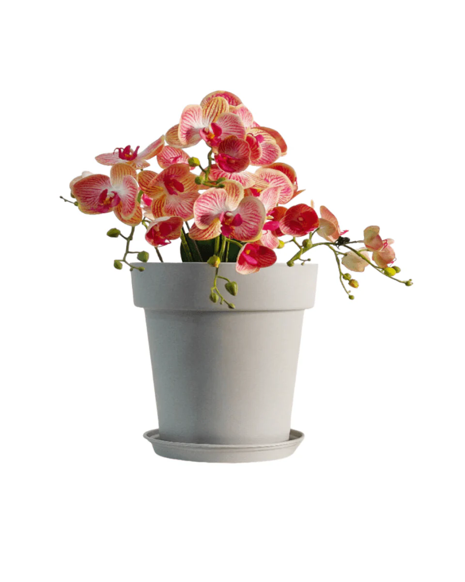 GAL Plastic Pots Large - Image 9