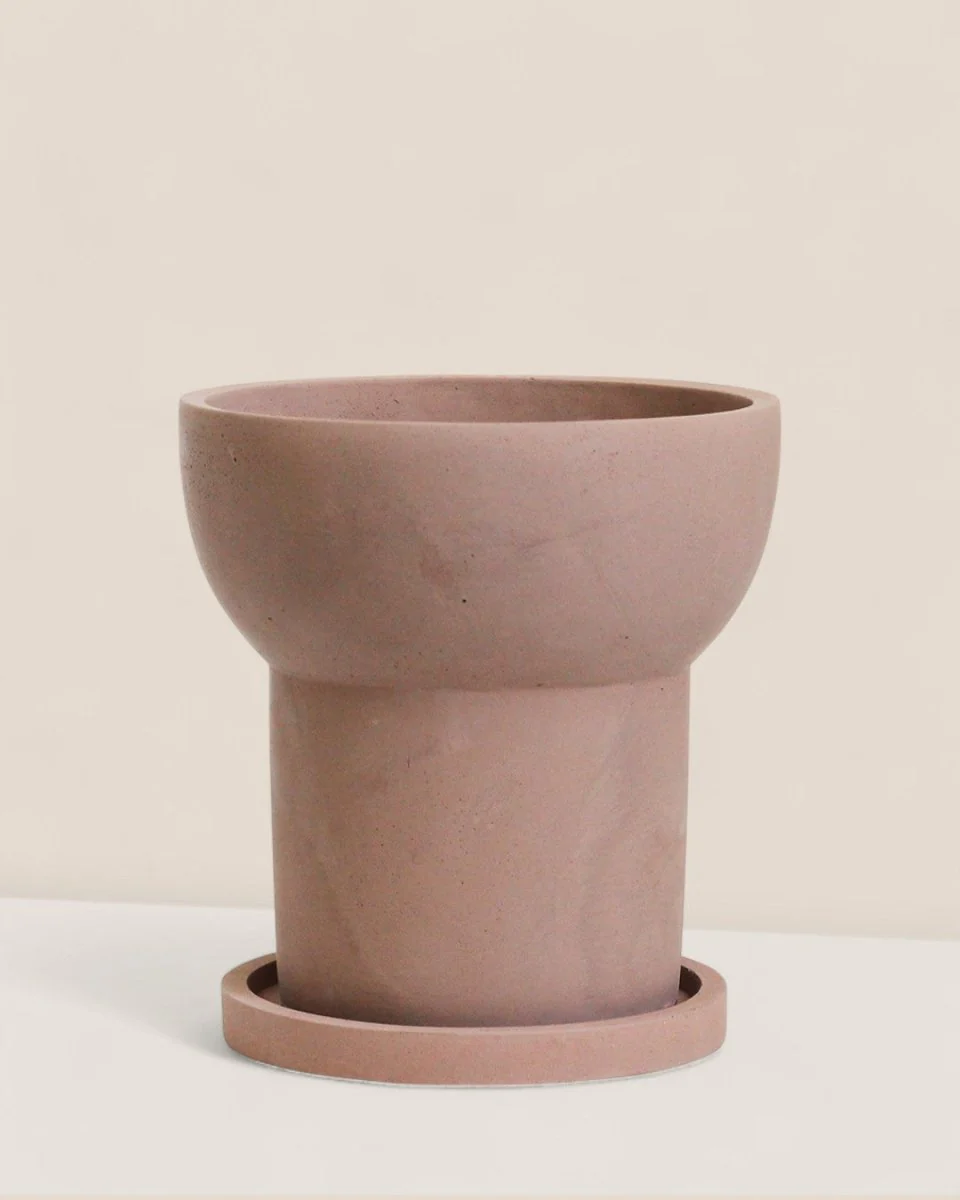Halo Planters - Image 5