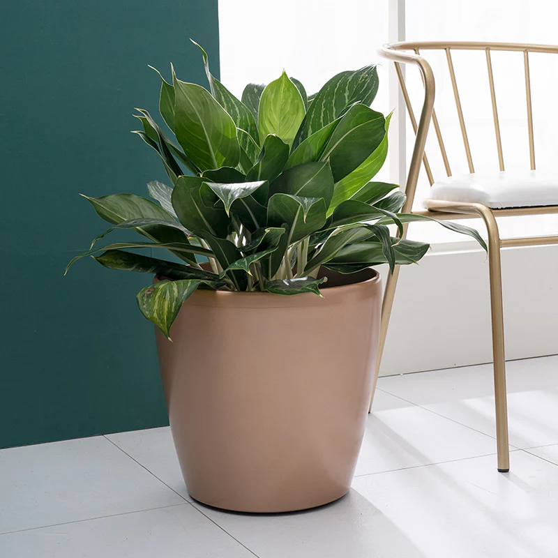 HydroEase Classic Self-Watering Pot - L - Image 4