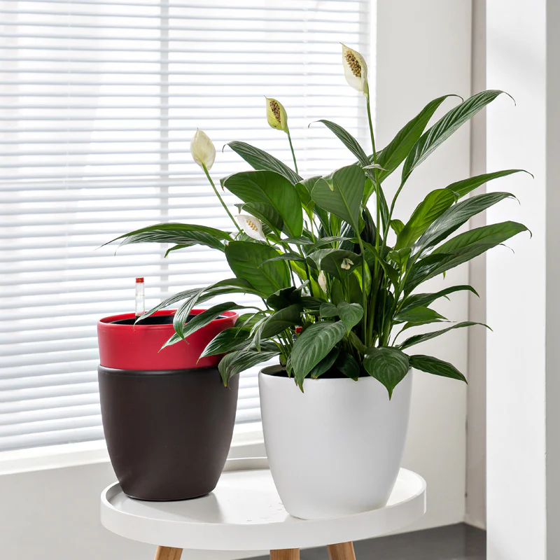 HydroEase Smart Self-Watering Pot - M - Image 3