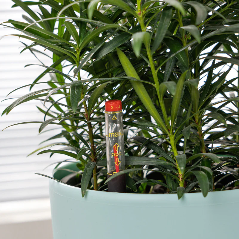HydroEase Smart Self-Watering Pot - M - Image 4