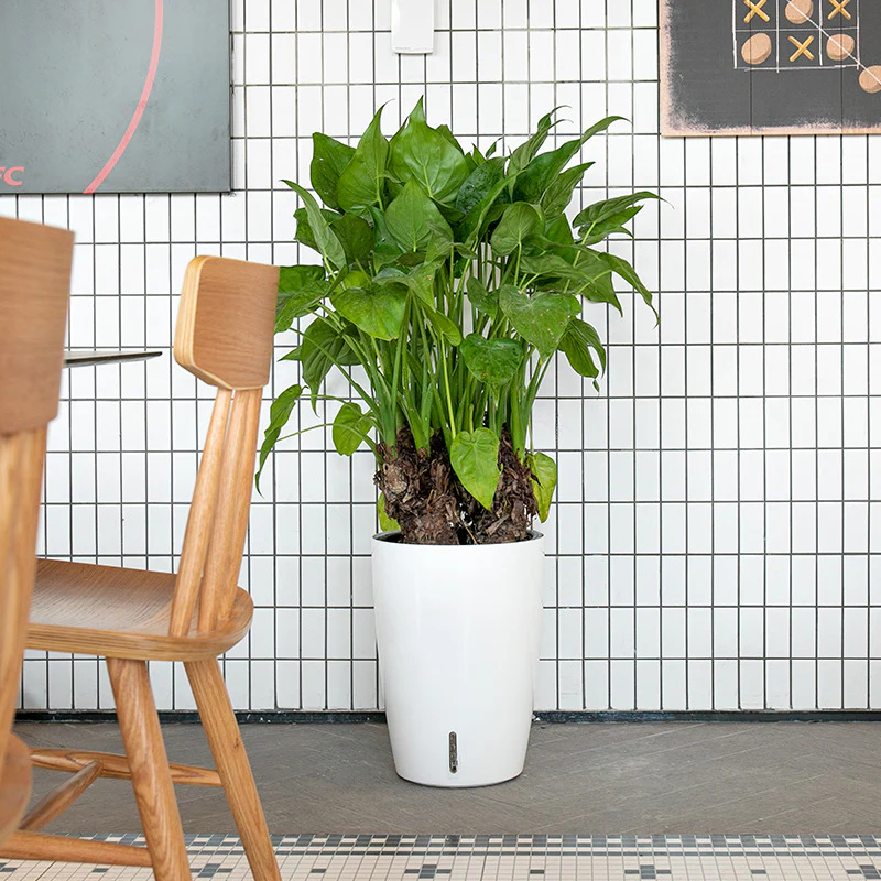 HydroEase Tall Self-Watering Planter - L - Image 3