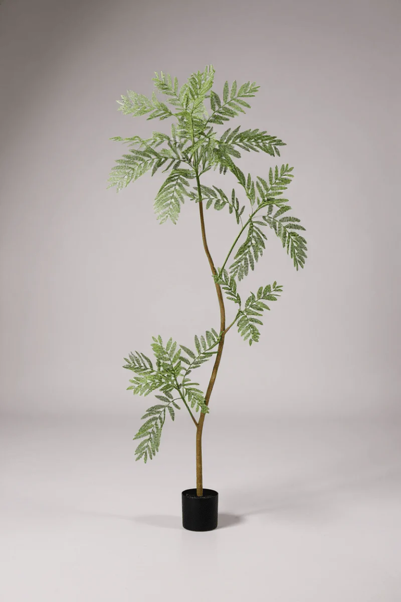 Jacaranda Tree (Life-like Artificial) - Image 7