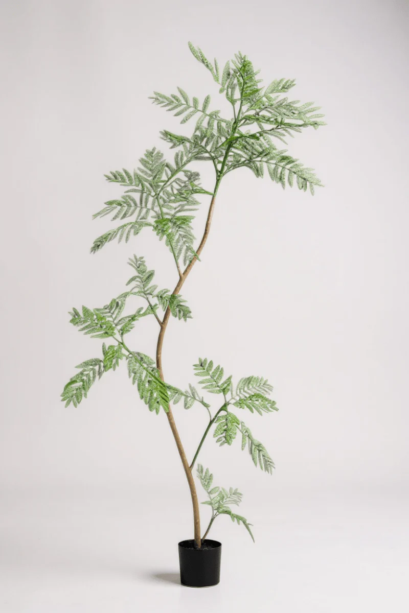 Jacaranda Tree (Life-like Artificial) - Image 8