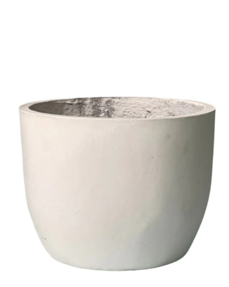 Lyra - Large - Image 6