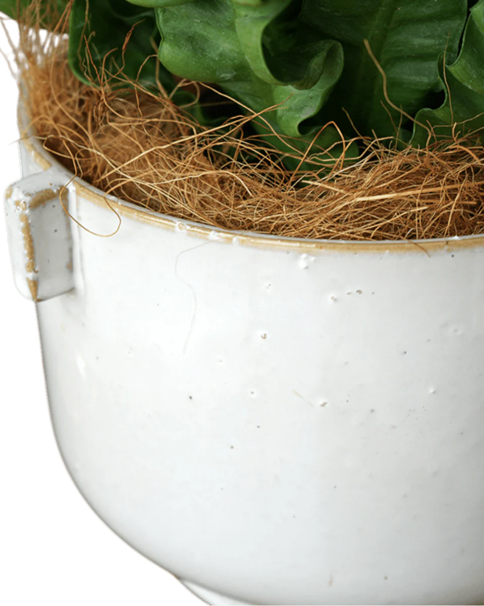 Livia Planter - Image 5