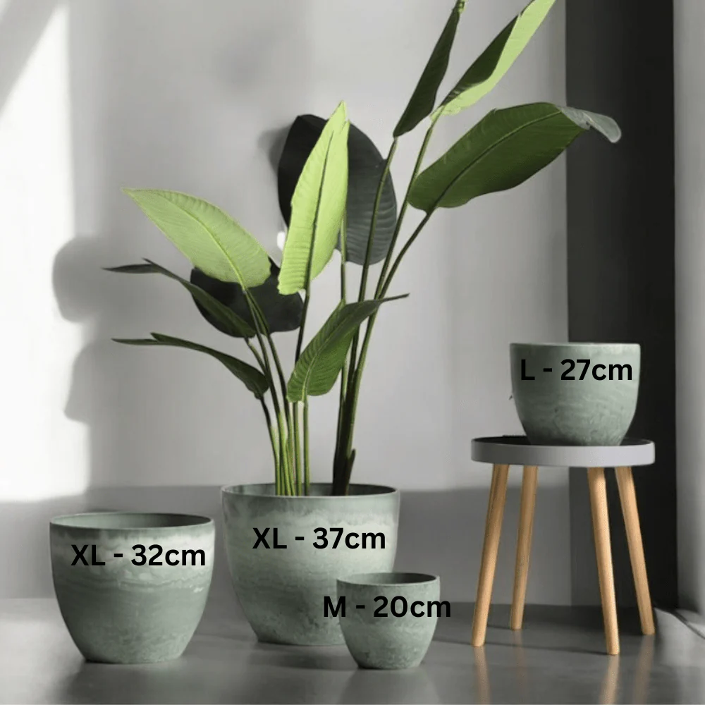 AirStone Egg Pots - Medium - Image 12