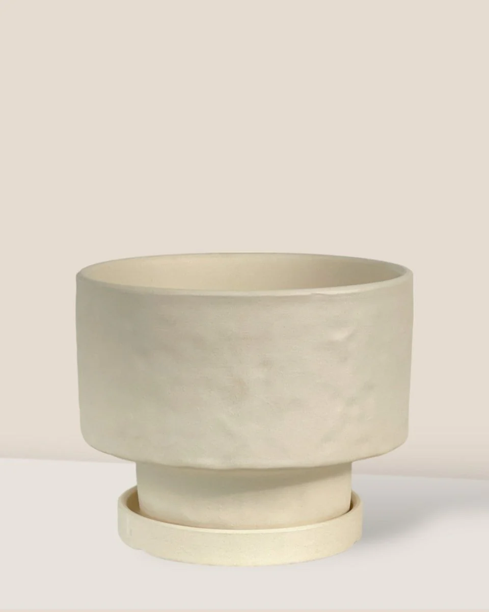 Astra Pot - Medium - Image 12