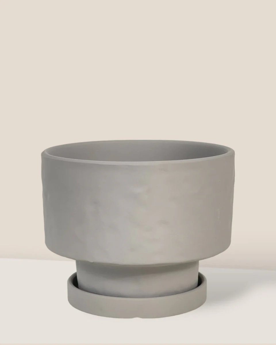 Astra Pot - Medium - Image 3