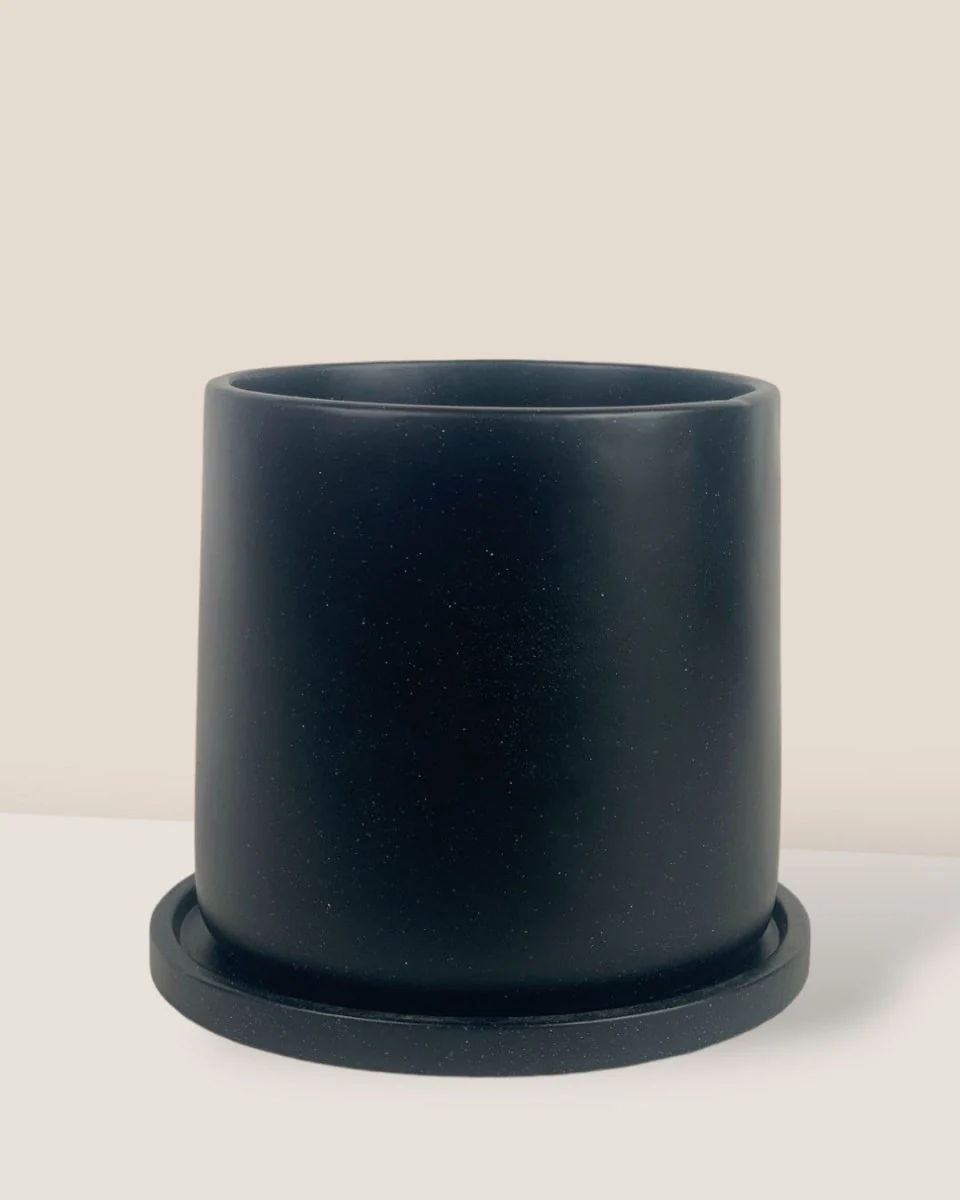 Brindle Pot - Medium - Image 3