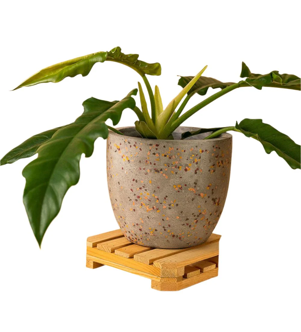 Egg Pots - Medium - Image 14