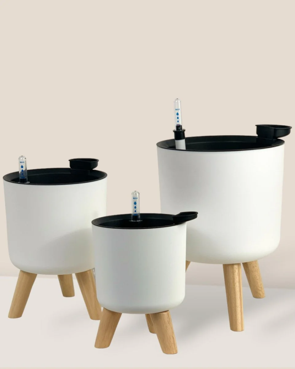 Self Watering Pot with Stand - Medium - Image 2