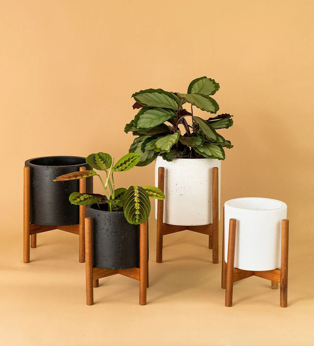 Mid Century Planter with Wooden Plant Stand - Image 3