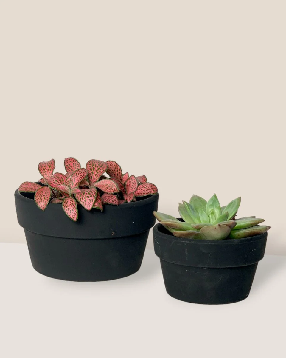 Midnight Black Pot - Image 2