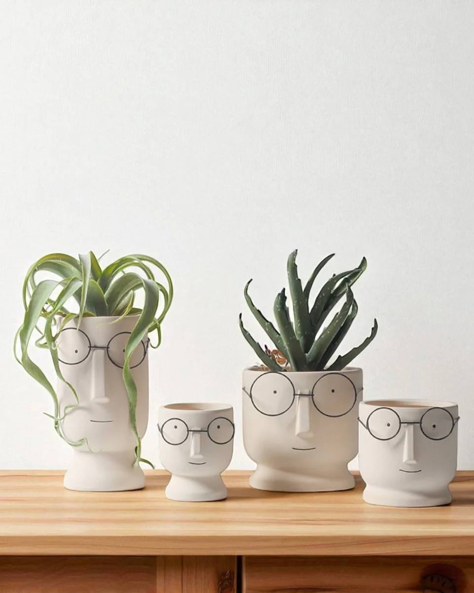 Mister Planter - Small - Image 2