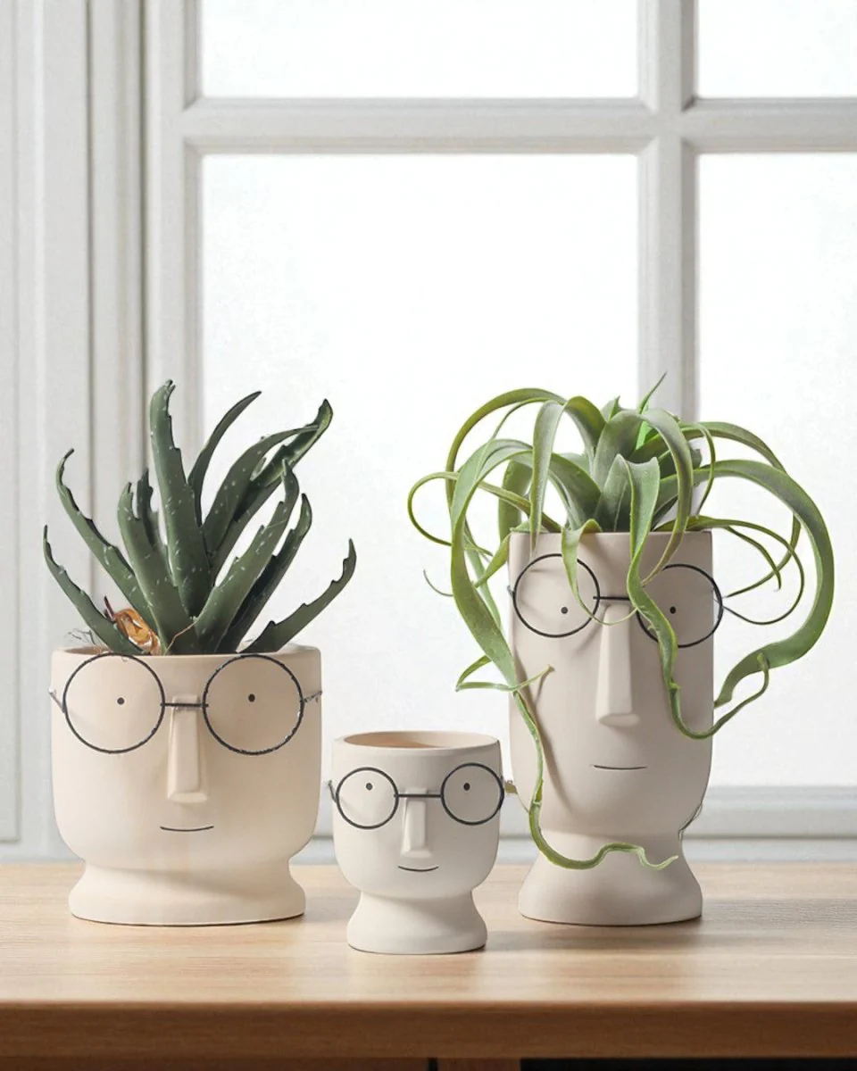 Mister Planter - Small - Image 3